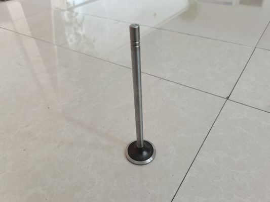 Parti della valvola di scarico della valvola di aspirazione di motore 252-7802 224-3030 su misura