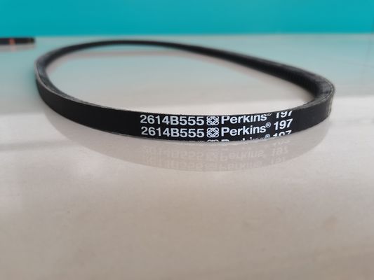 Cinghia del ventilatore su misura del PVC di Perkins Engine Parts 981-209 2614B555