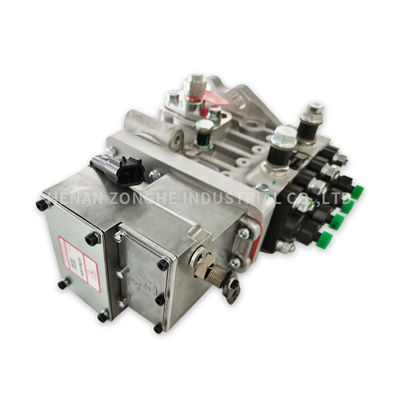 La pompa del carburante elettrica diesel 4BTA3.9 ha personalizzato 4990062 10403714037