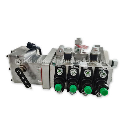 La pompa del carburante elettrica diesel 4BTA3.9 ha personalizzato 4990062 10403714037