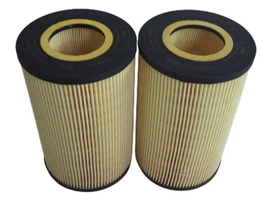 Il filtro dell'olio genuino del motore diesel parte 01174421 con l'imballaggio neutrale