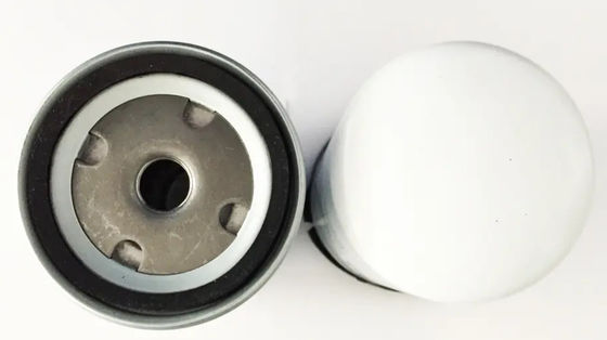 Filtro 21492771 dall'OEM BF4M Diesel Generator Fuel 01180597 parti